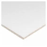 Плита потолочная Армстронг RETAIL 90RH Board 600x600x12 купить в #REGION_NAME_PP# | Авангард