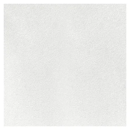 Потолочная плита Рокфон Лилия 12 A 15/24 600x600x12